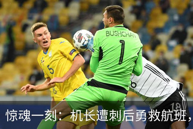 惊魂一刻：机长遭刺后勇救航班，乘客齐心协力化险为夷